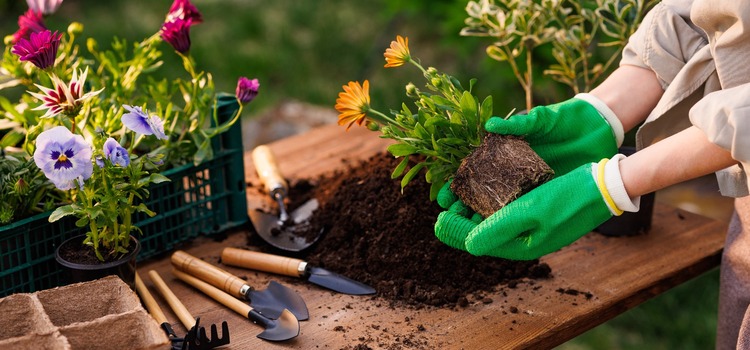 A time traveller’s guide on how to financially plan for change